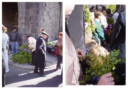 在教堂一旁買賣黃楊木的法國人們