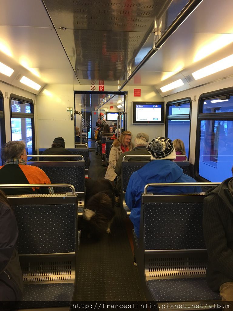 IMG_7565.JPG IMG_7565.JPG