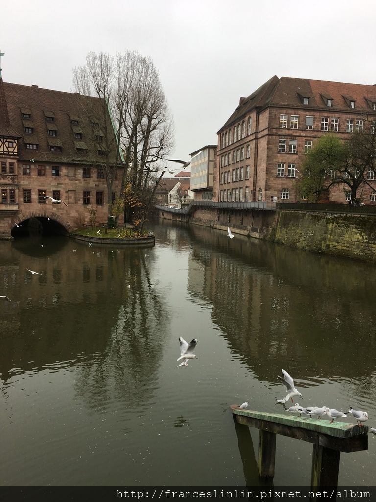 IMG_7724.JPG IMG_7724.JPG