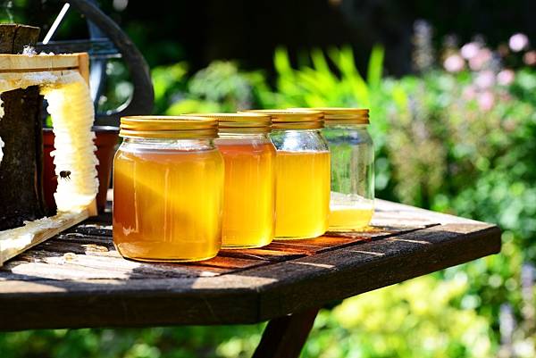 honey-jars-harvest-bees-frame-garden-crop-golden (2).jpg
