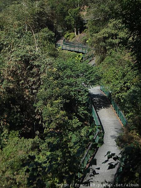 徜徉山林之間(松柏崙段)