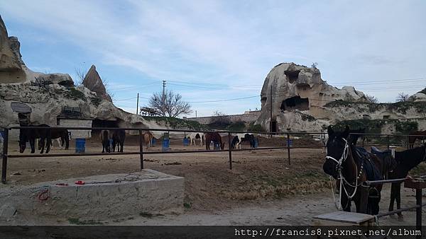 來到Cappadocia(美麗的馬鄉),當然要來享受一下騎馬趣(by N4)