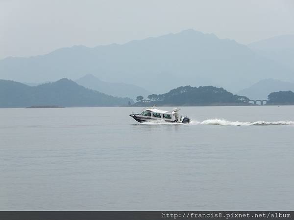 快艇破水過,白龍伴隨行