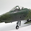 A-10A 022.JPG
