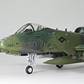 A-10A 047.JPG