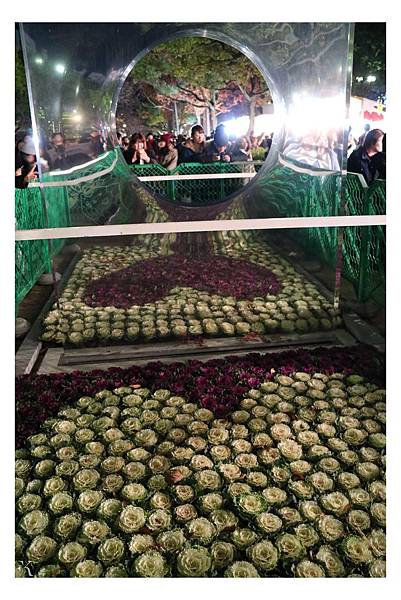 2015_神戶光祭典31.jpg