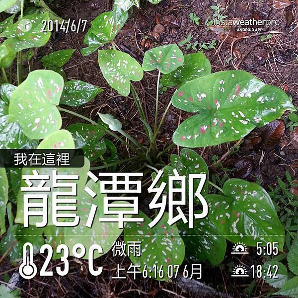 慢活ING~~ 慢活ING~~