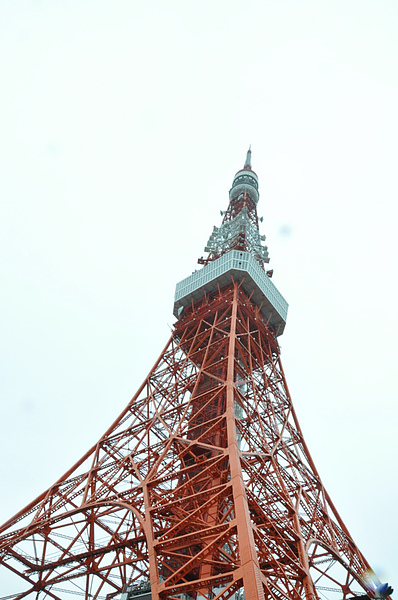 DSC_0295.JPG