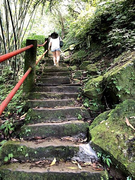 仰望耘瑄.JPG 仰望耘瑄.JPG