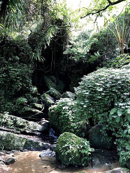山間細流.JPG 山間細流.JPG