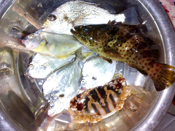 20091227780.jpg
