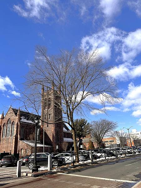 耶魯大學一日遊