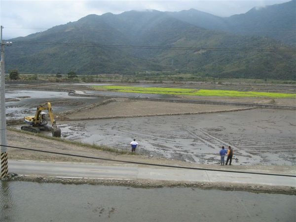 一邊還是油菜花 一邊已經準備整地 開始 早春的播種了