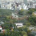 通天閣眺望19 天王寺