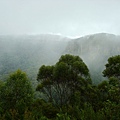 Blue Mountains 03 霧上升的速度驚人