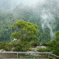 Blue Mountains 13