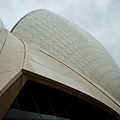 歌劇院 Sydeny Opera House 06 以2種不同顏色拼成的貝殼