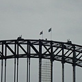 Harbour Bridge 港灣大橋 06 小小的人們