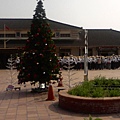 P01-12-09_12.13.jpg