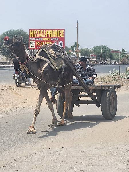 《印度》齋浦爾-粉紅之城-金三角之旅-自助遊 3 《印度》齋浦爾-粉紅之城-金三角之旅-自助遊 3
