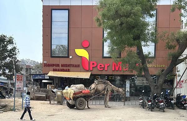 《印度》齋浦爾-粉紅之城-金三角之旅-自助遊 3 《印度》齋浦爾-粉紅之城-金三角之旅-自助遊 3