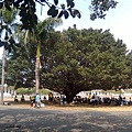 20110407-1.jpg