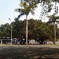 20110407-3.jpg