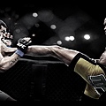 Sports-MMA-Wallpaper.jpg