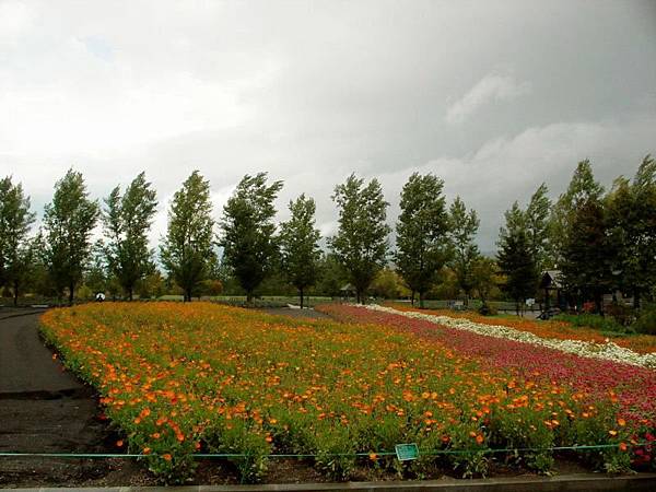 富良野