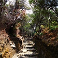 火山Tangguban Perahu