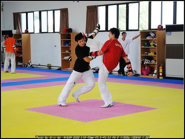 跆拳3