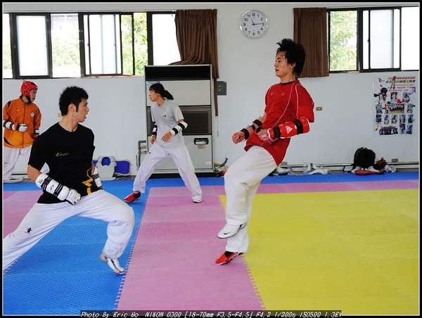 跆拳4