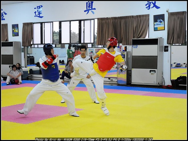 跆拳5