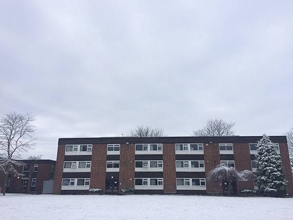 IMG_7526.JPG IMG_7526.JPG