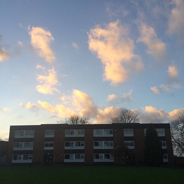 IMG_6424.JPG IMG_6424.JPG