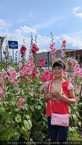 日本東北自駕十天2024年6月21-30日(第1-5天)宮城