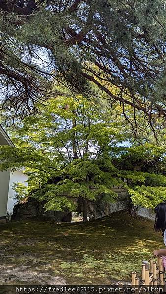 日本東北自駕十天2024年6月21-30日(第1-5天)宮城