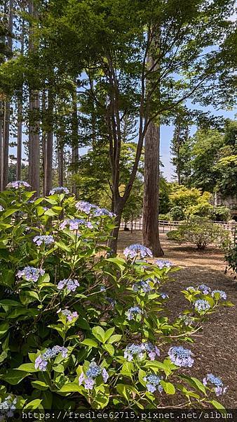 日本東北自駕十天2024年6月21-30日(第1-5天)宮城