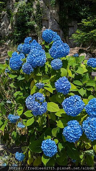 日本東北自駕十天2024年6月21-30日(第1-5天)宮城