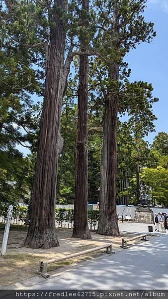 日本東北自駕十天2024年6月21-30日(第1-5天)宮城