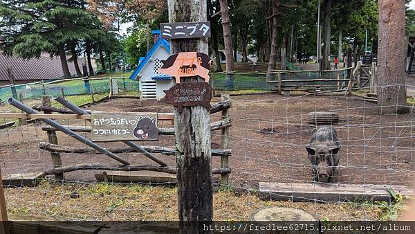 日本東北自駕十天2024年6月21-30日(第1-5天)宮城