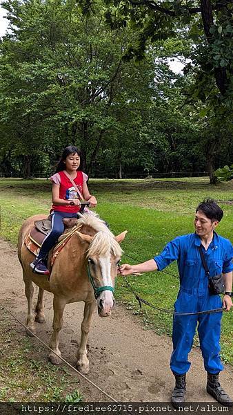 日本東北自駕十天2024年6月21-30日(第1-5天)宮城