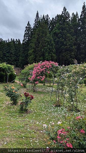 日本東北自駕十天2024年6月21-30日(第1-5天)宮城