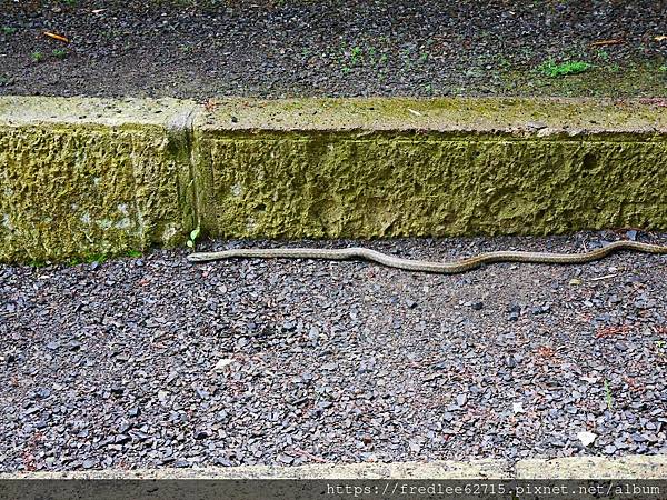 日本東北自駕十天2024年6月21-30日(第1-5天)宮城