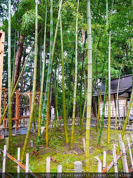 日本東北自駕十天2024年6月21-30日(第1-5天)宮城