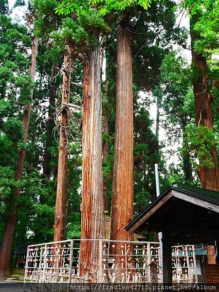 日本東北自駕十天2024年6月21-30日(第1-5天)宮城