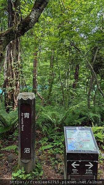 日本東北自駕十天2024年6月21-30日(第1-5天)宮城