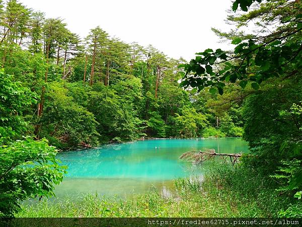 日本東北自駕十天2024年6月21-30日(第1-5天)宮城