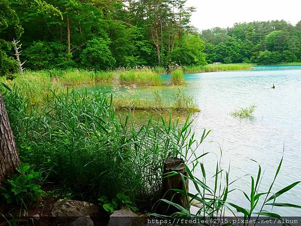 日本東北自駕十天2024年6月21-30日(第1-5天)宮城