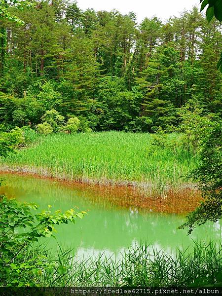 日本東北自駕十天2024年6月21-30日(第1-5天)宮城